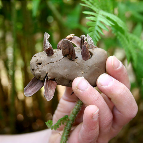 animal in clay