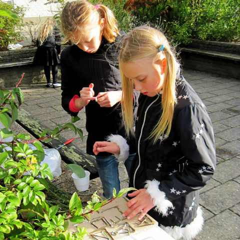 Girls learning outside the classroom
